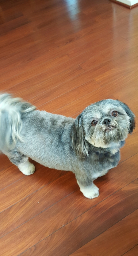 Entry image for Kingston. Clicking this image will show a larger photo