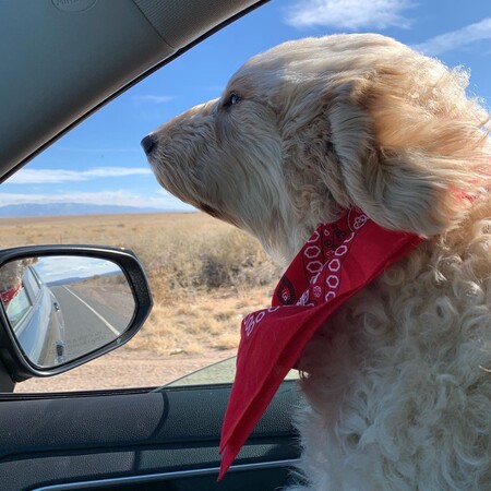 Entry image for Oh Be Joyful. Clicking this image will show a larger photo