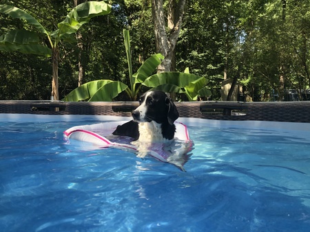 Entry image for Bunker. Clicking this image will show a larger photo