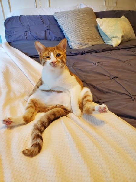 Entry image for Moe. Clicking this image will show a larger photo