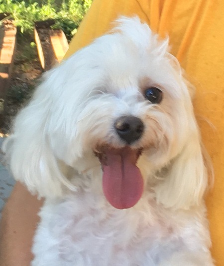 Entry image for Rhett Butler Rowley . Clicking this image will show a larger photo