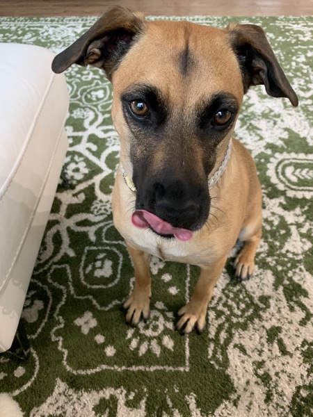 Entry image for Honey. Clicking this image will show a larger photo