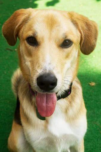 Entry image for Oakley. Clicking this image will show a larger photo