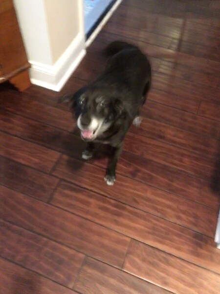 Entry image for Tina . Clicking this image will show a larger photo