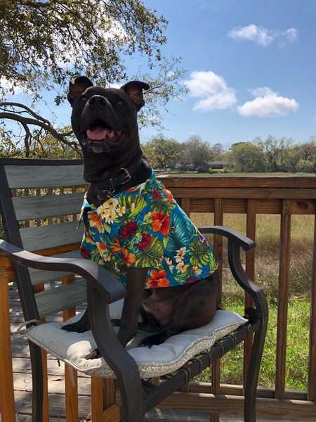 Entry image for Elliot Staybler. Clicking this image will show a larger photo