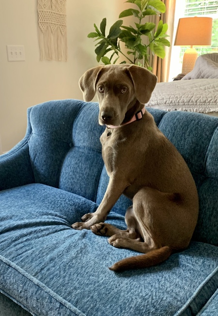 Entry image for Julep. Clicking this image will show a larger photo