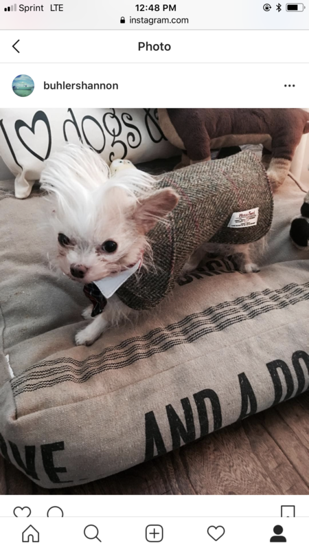 Entry image for Mr. Buttons Buhler. Clicking this image will show a larger photo