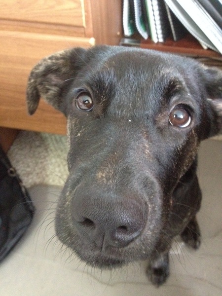 Entry image for Sumter. Clicking this image will show a larger photo