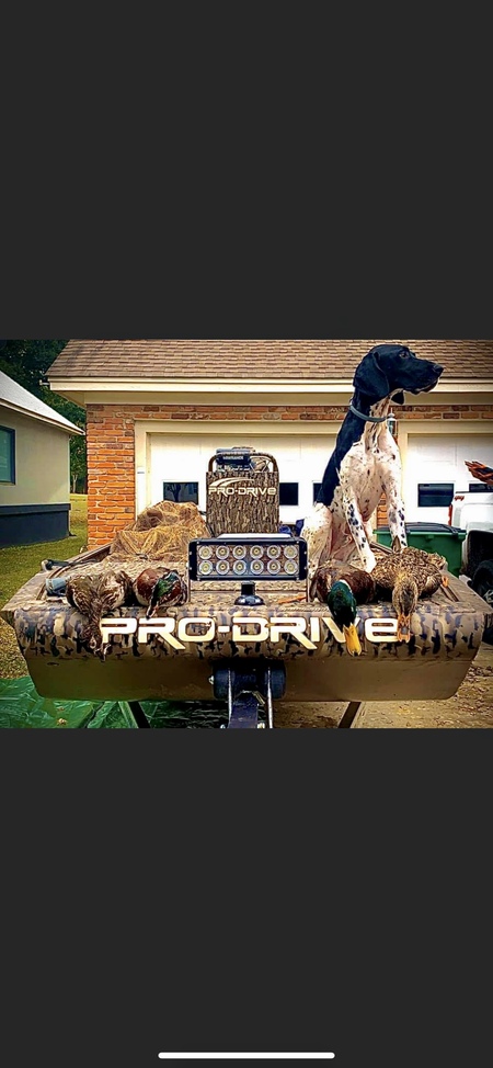 Entry image for Bocephus Radley Cumbee. Clicking this image will show a larger photo