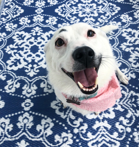 Entry image for Hallie. Clicking this image will show a larger photo