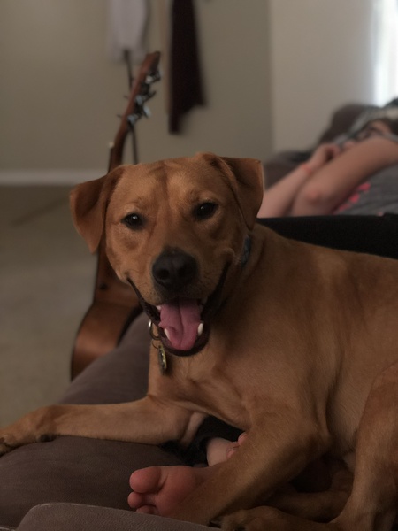 Entry image for Buddy. Clicking this image will show a larger photo