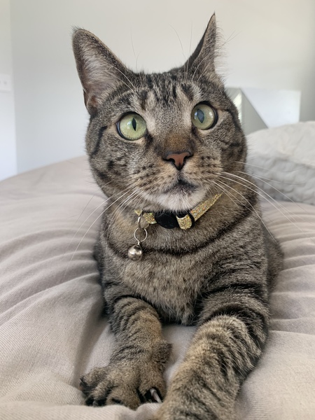 Entry image for Helen . Clicking this image will show a larger photo