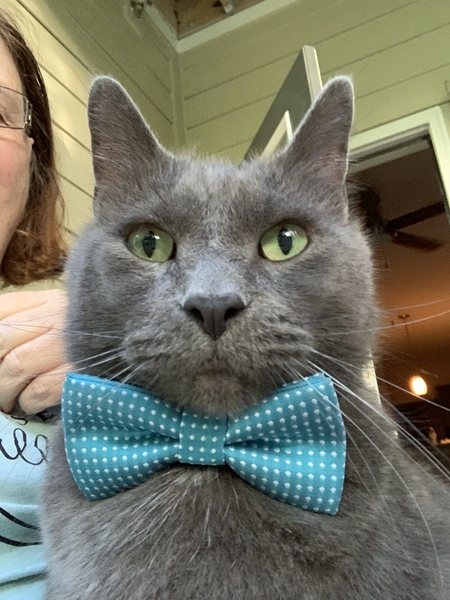 Entry image for Buddy . Clicking this image will show a larger photo