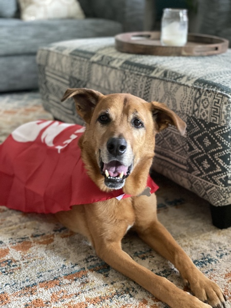 Entry image for Baker Hampton Jr. Clicking this image will show a larger photo