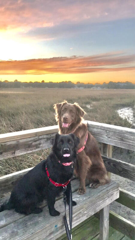 Entry image for Basil&Pepper. Clicking this image will show a larger photo