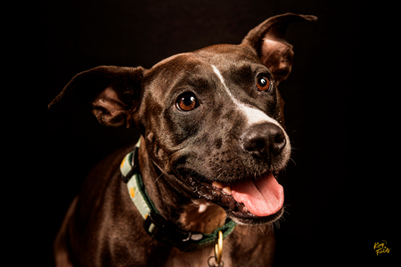 Entry image for Ava Marie. Clicking this image will show a larger photo