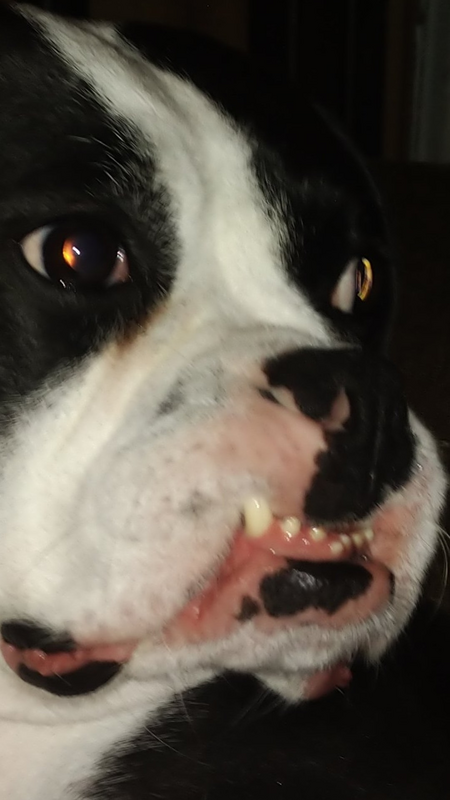 Entry image for Georgia. Clicking this image will show a larger photo