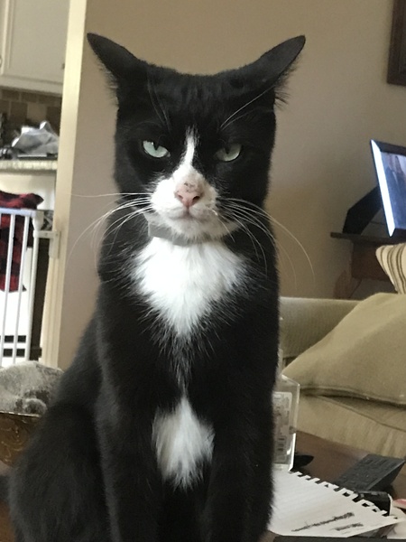 Entry image for Clarice. Clicking this image will show a larger photo