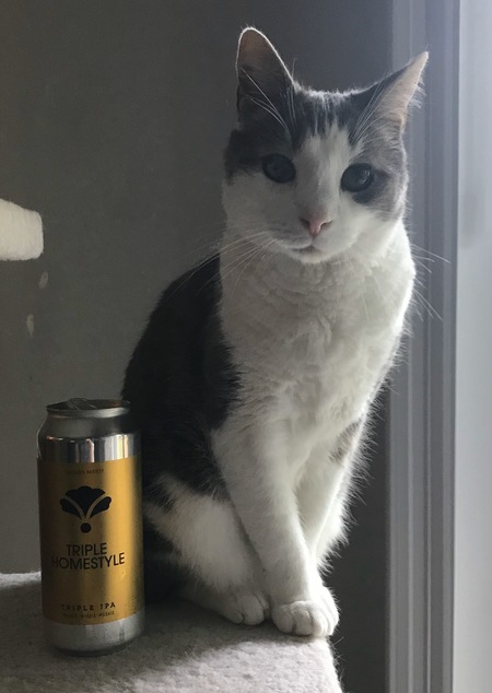 Entry image for Barley. Clicking this image will show a larger photo