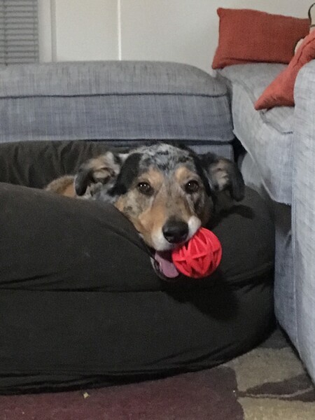 Entry image for Eve. Clicking this image will show a larger photo