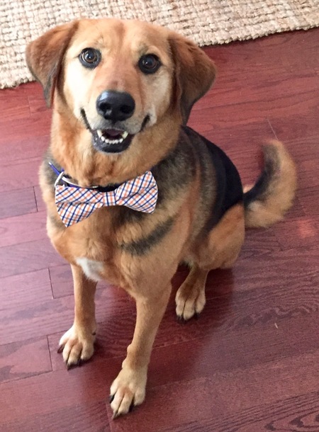 Entry image for Tobie Hood. Clicking this image will show a larger photo