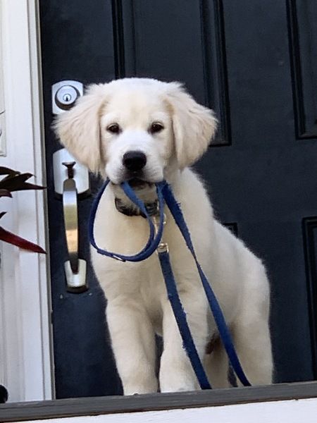 Entry image for Hugo Oliver. Clicking this image will show a larger photo