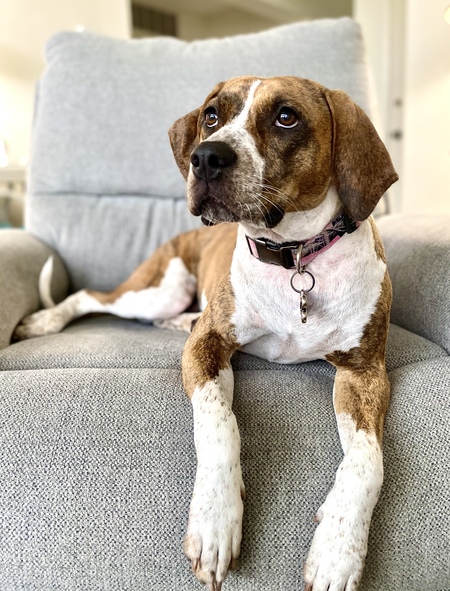 Entry image for Cali Van De Veere . Clicking this image will show a larger photo