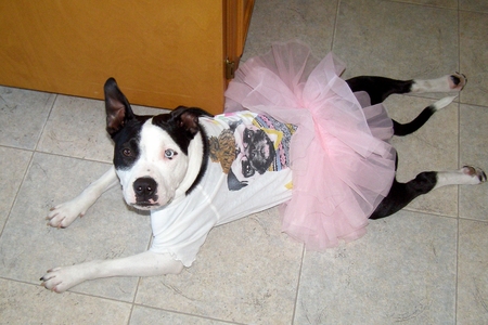 Entry image for Cress (aka Mimi). Clicking this image will show a larger photo