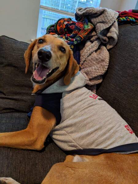 Entry image for Red Freeman. Clicking this image will show a larger photo