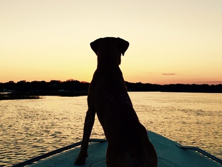 Entry image for Sedona. Clicking this image will show a larger photo