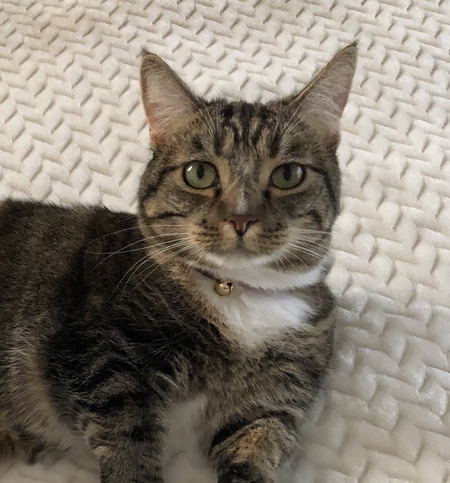 Entry image for Buttons. Clicking this image will show a larger photo