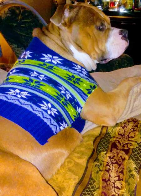 Entry image for Jackson. Clicking this image will show a larger photo