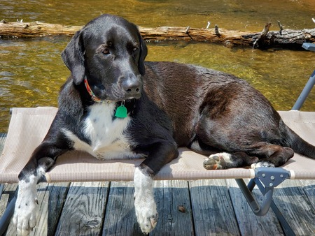 Entry image for Ellie. Clicking this image will show a larger photo