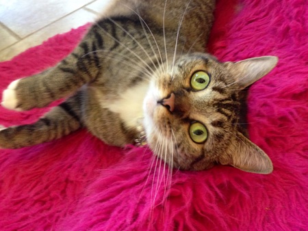 Entry image for Heidi. Clicking this image will show a larger photo