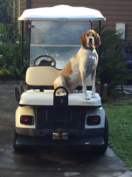 Entry image for Darius. Clicking this image will show a larger photo