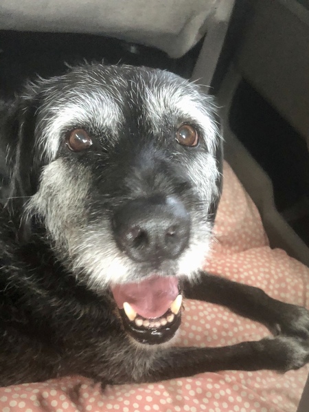 Entry image for Emma. Clicking this image will show a larger photo