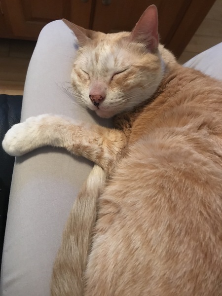 Entry image for Tequila. Clicking this image will show a larger photo