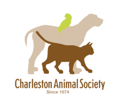 Charleston Animal Society