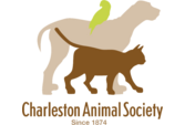 Charleston Animal Society