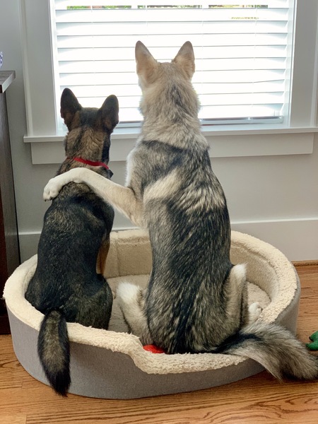 Ophelia & Hugo