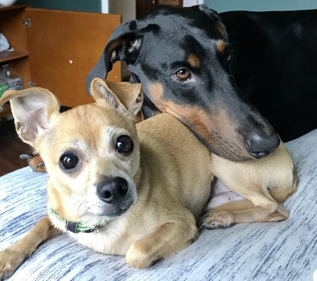 Oliver and Glen