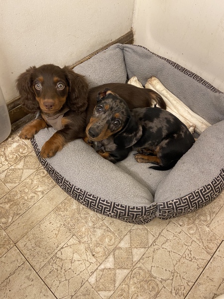 Captivating Cuties!! 