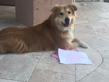 Roxy