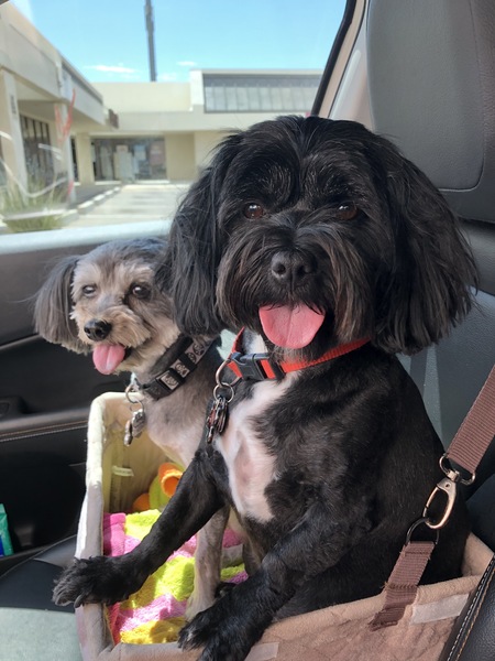 Pepper and Shayna