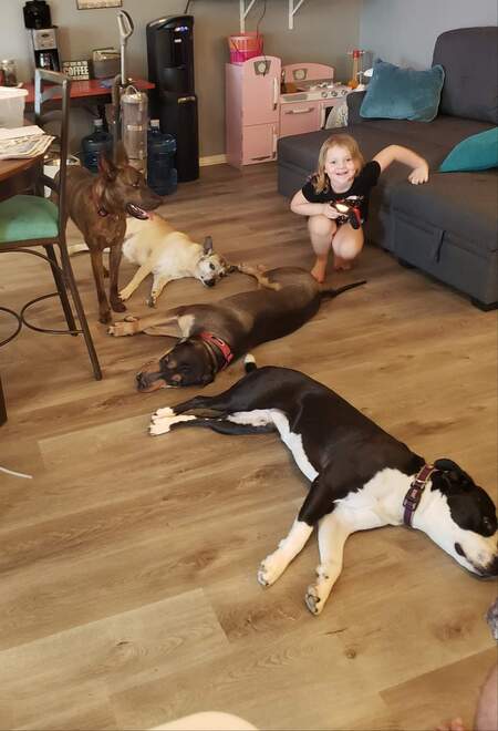 Our 4 Rescues