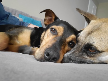 Trinity & Steve 