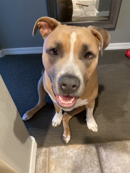 Gracie (AKA-Tina)