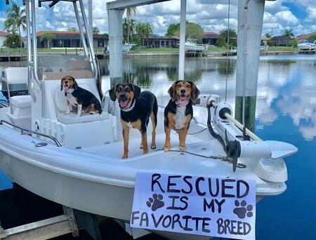 Bennie, Sonnie, & Teddy