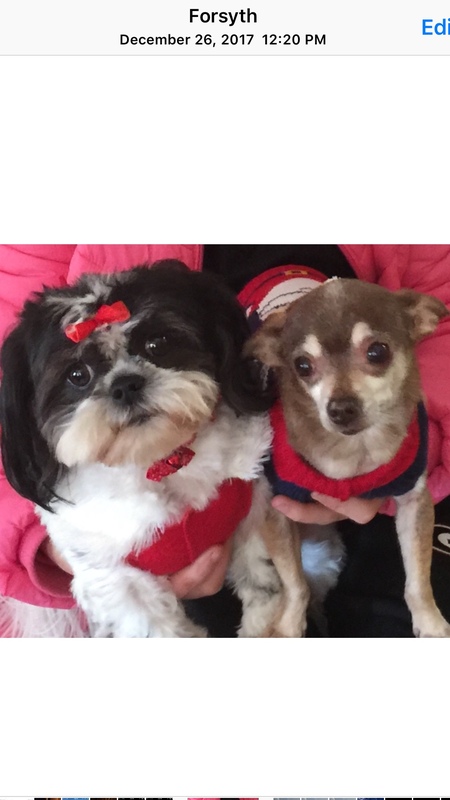 Bella and Jackson