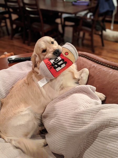 Zeus